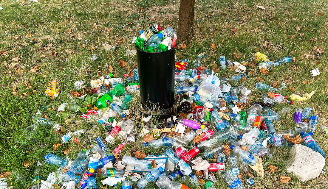 Unleash your inner Littergeek